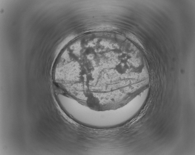 X0000067461087200605051616