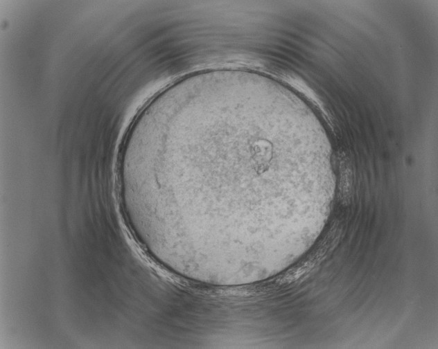 X0000067461088200605051616