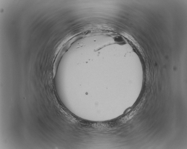 X0000067461089200605051616