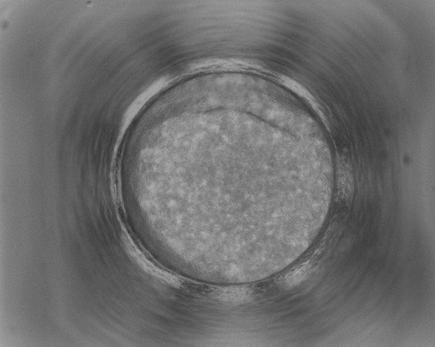 X0000067461090200605051616