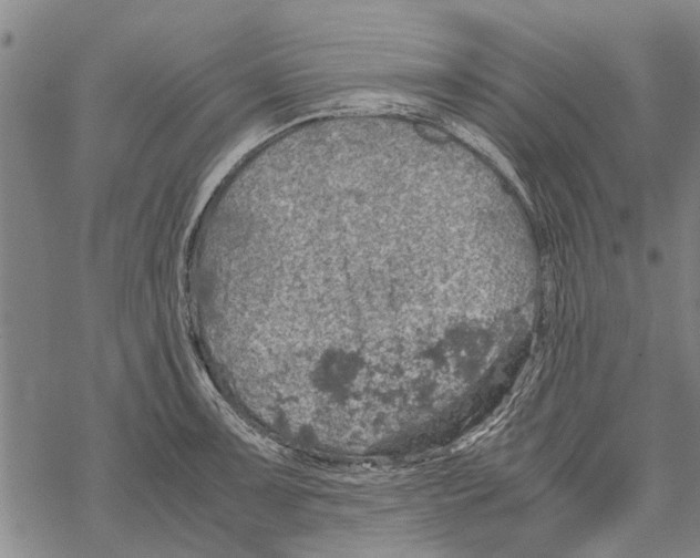 X0000067461091200605051616