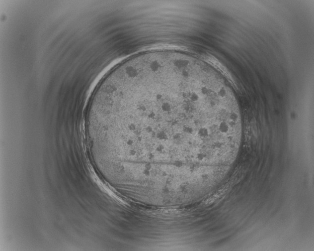 X0000067461092200605051615