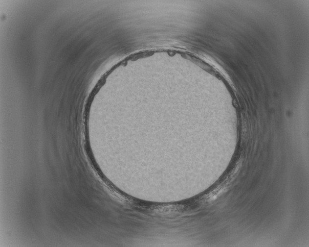 X0000067461093200605051615