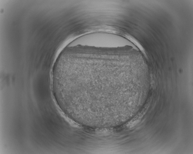 X0000067461099200605051615