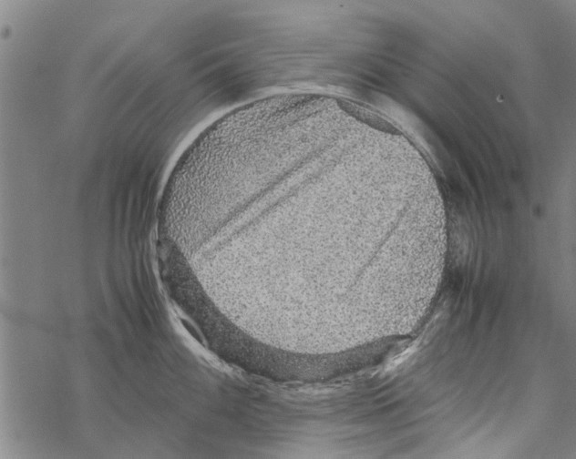 X0000067461100200605051615