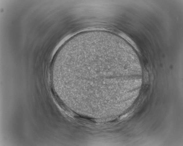 X0000067461101200605051615