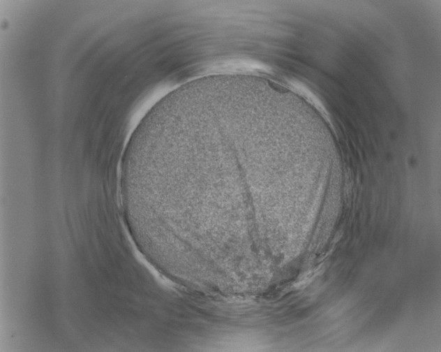 X0000067461103200605051615