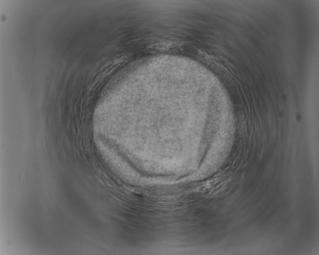 X0000067461105200605051615