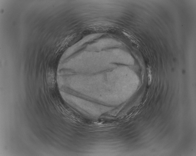 X0000067461108200605051615