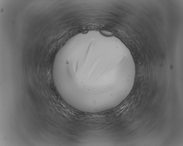 X0000067461109200605051615