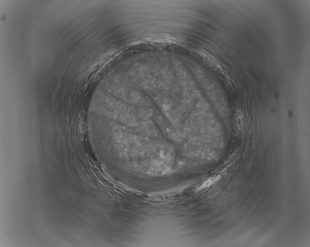 X0000067461110200605051615