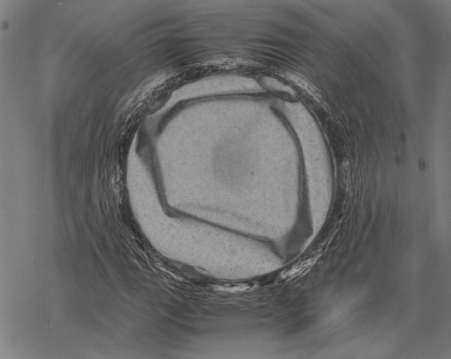 X0000067461111200605051615