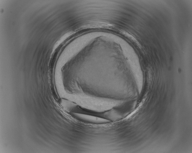 X0000067461114200605051615