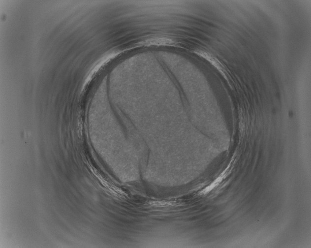 X0000067461115200605051615