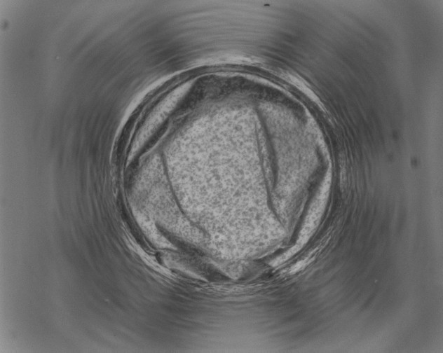 X0000067461116200605051615