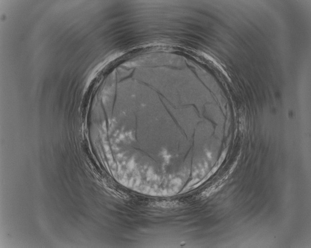 X0000067461117200605051615