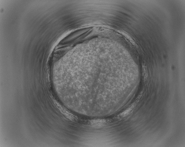 X0000067461118200605051615