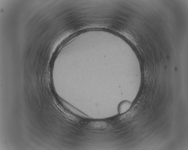 X0000067461119200605051615