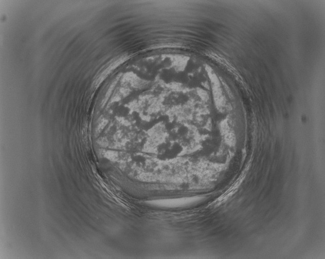 X0000067461121200605051615