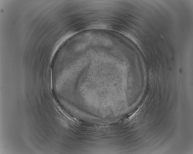 X0000067461123200605051615