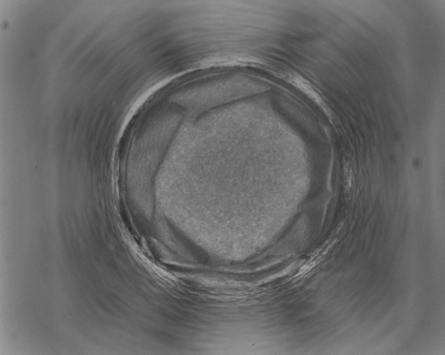 X0000067461124200605051615