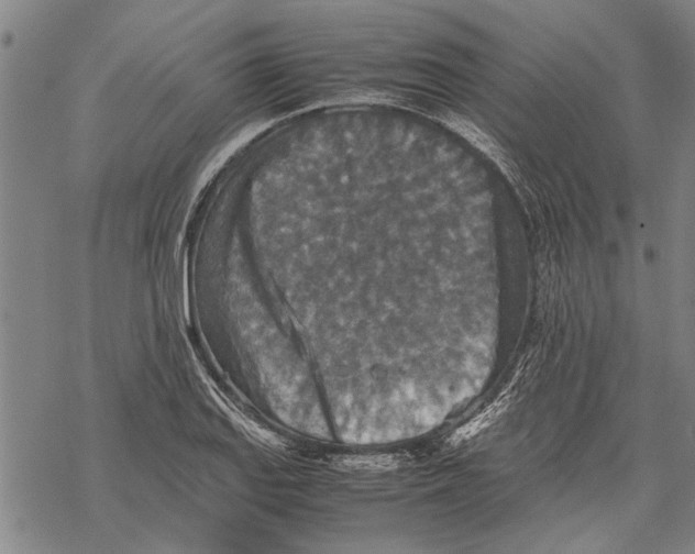 X0000067461127200605051615