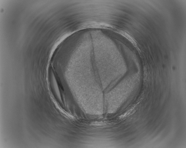 X0000067461128200605051615