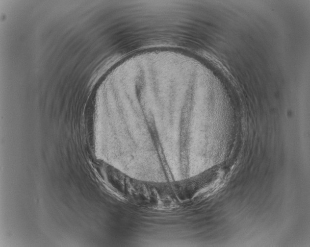 X0000067461129200605051615