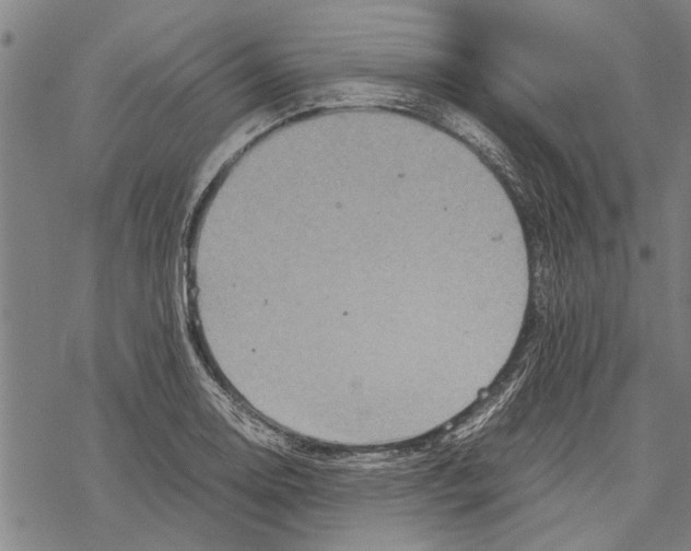 X0000067461130200605051615