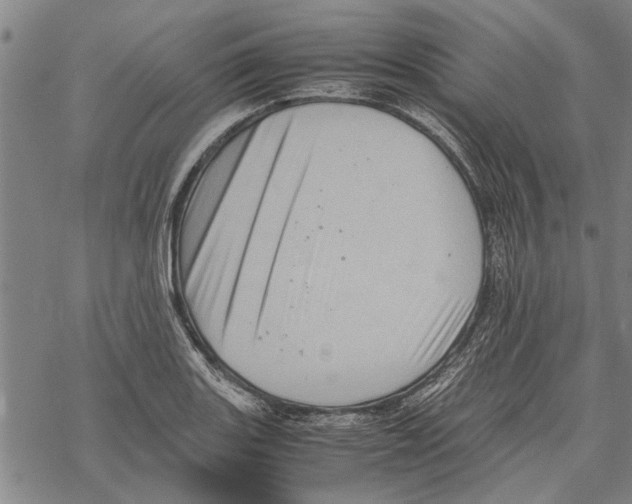 X0000067461131200605051615