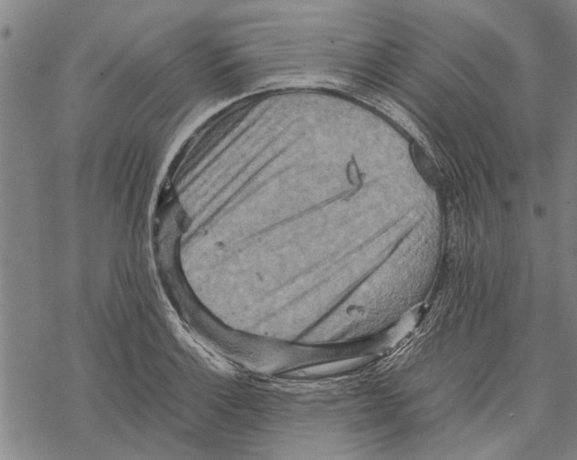 X0000067461132200605051615