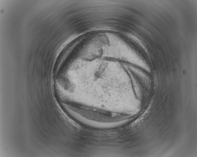 X0000067461133200605051615