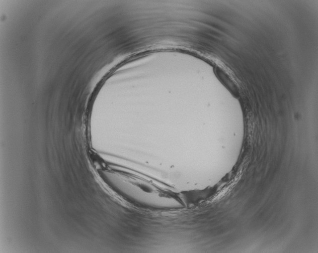 X0000067461134200605051615