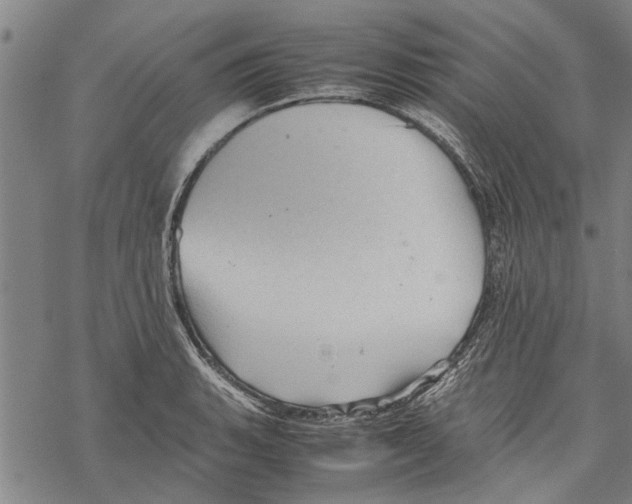 X0000067461135200605051615