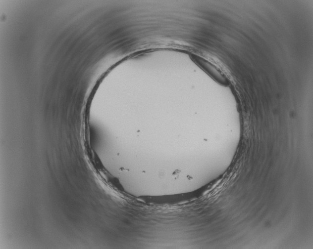 X0000067461136200605051615