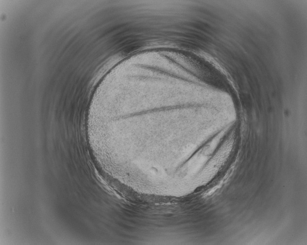 X0000067461137200605051615