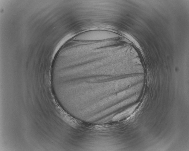 X0000067461138200605051615