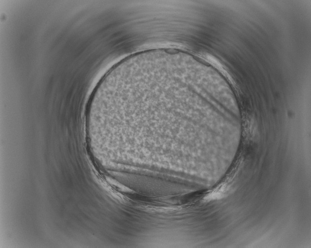 X0000067461140200605051615