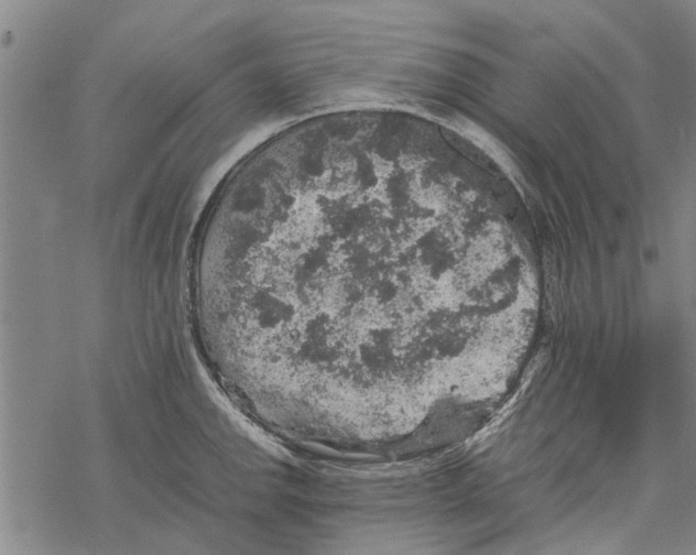 X0000067461142200605051615