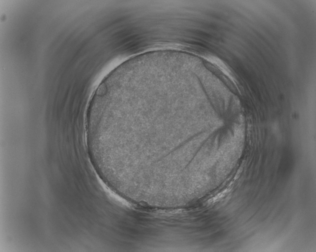 X0000067461143200605051615