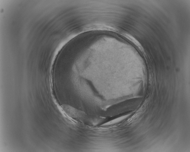 X0000067461144200605051615