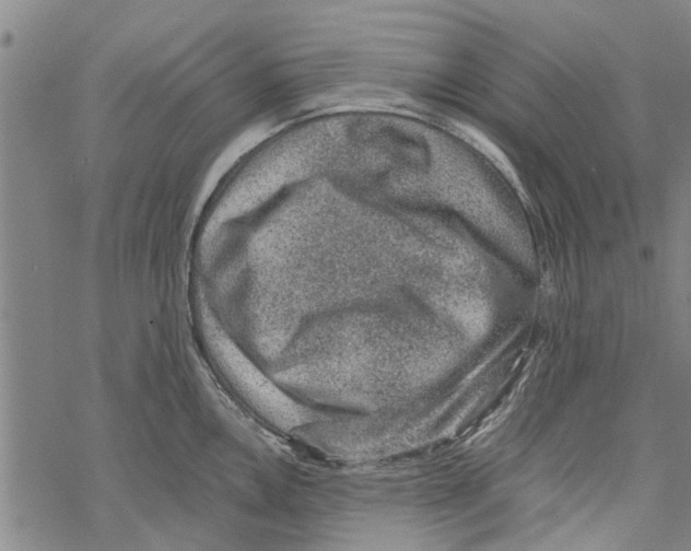 X0000067461146200605051615