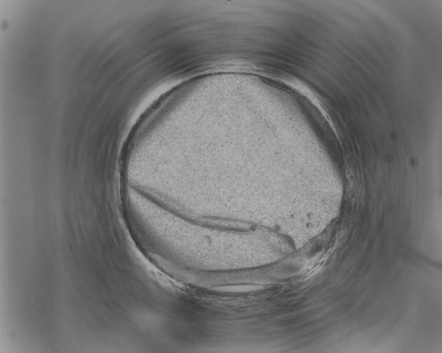 X0000067461147200605051615