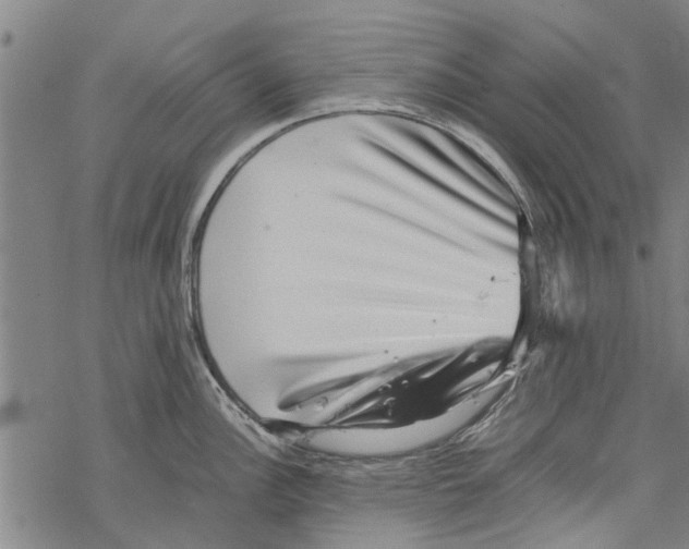 X0000067461148200605051615