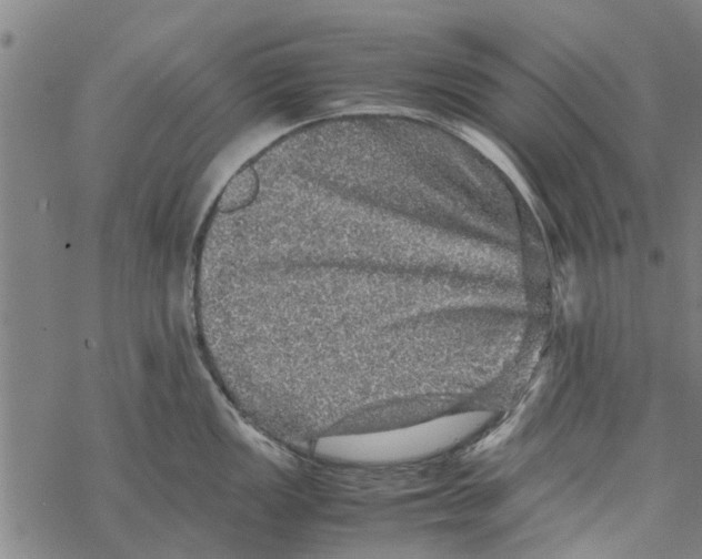 X0000067461149200605051615