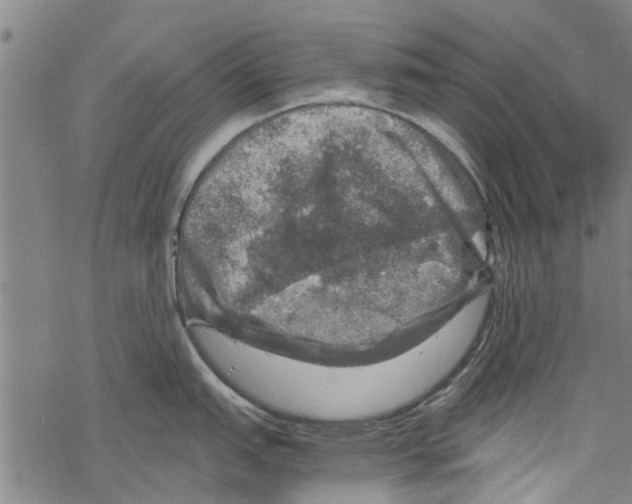 X0000067461151200605051615