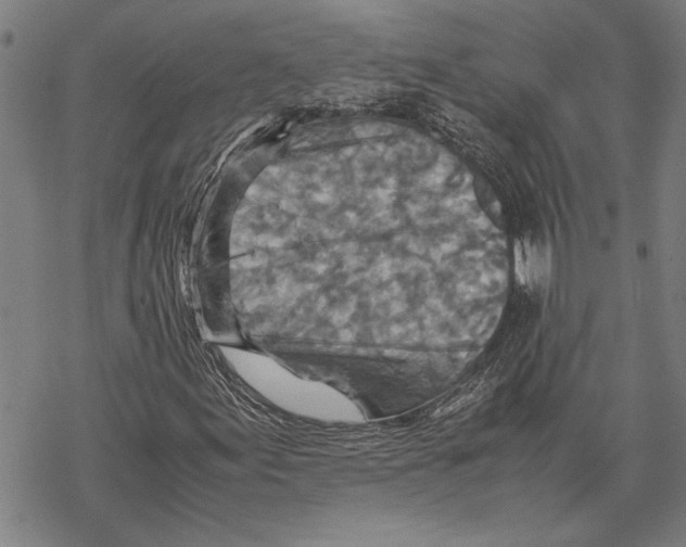 X0000067461155200605051614