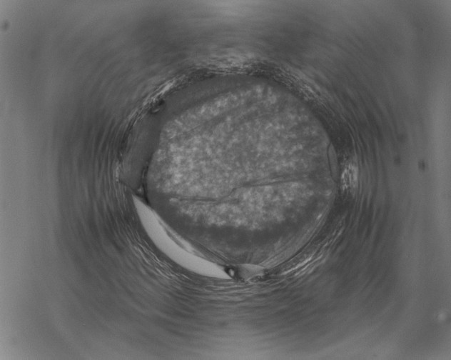 X0000067461156200605051614