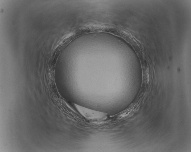 X0000067461157200605051614