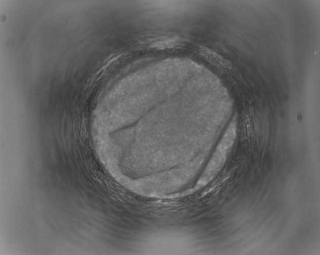 X0000067461158200605051614